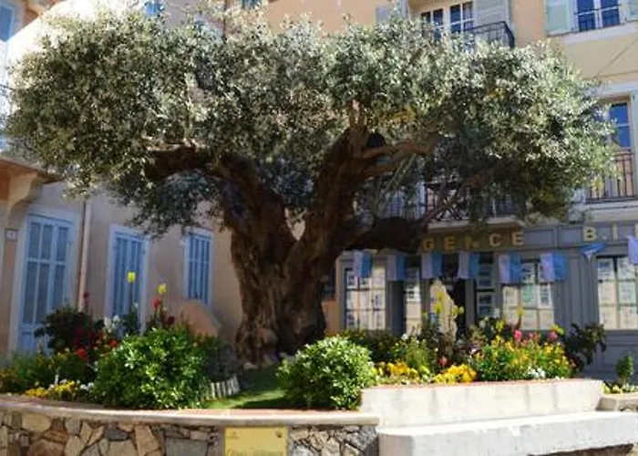 Ste Maxime Proximite Bord De Sainte-Maxime